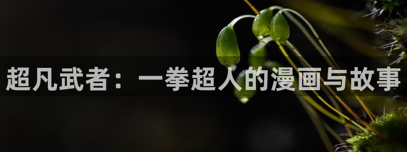 漫画之家在线观看免费：超凡武者：一拳超人的漫画与故事
